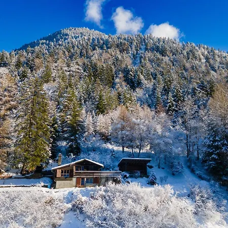 Dans La Montagne Proche De Verbier *