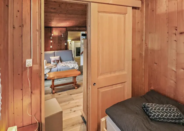 Dans La Montagne Proche De Verbier * Sembrancher