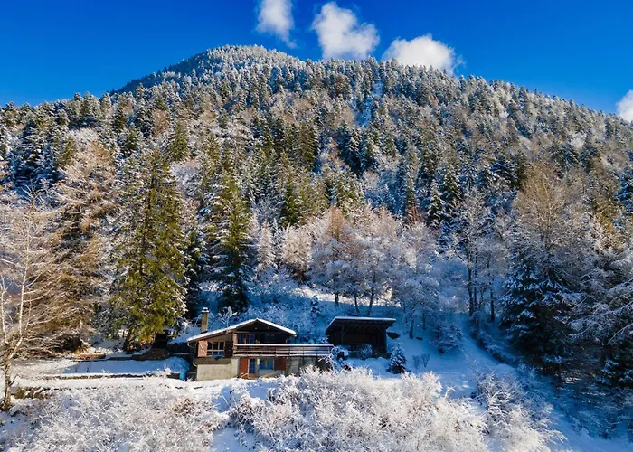 Dans La Montagne Proche De Verbier *