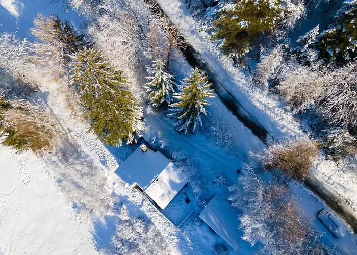 Dans La Montagne Proche De Verbier Sembrancher